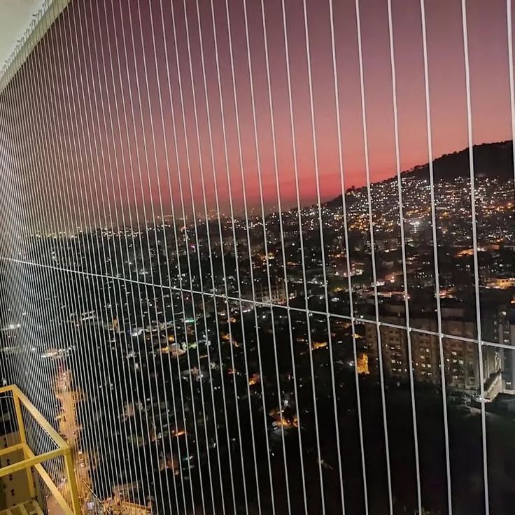 Window Safety Net