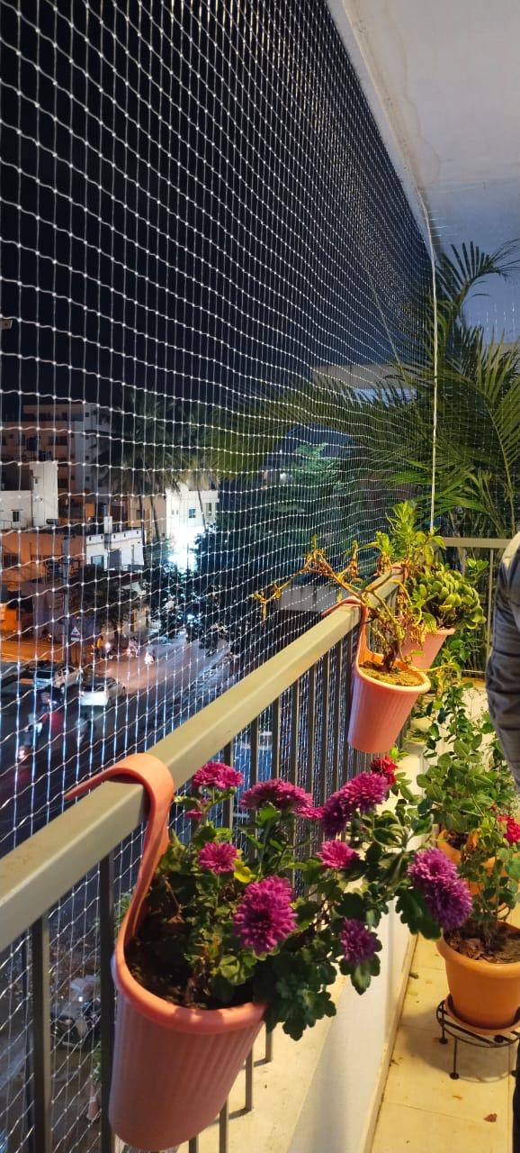 Coconut Tree Safety Nets Installation in Bengaluru